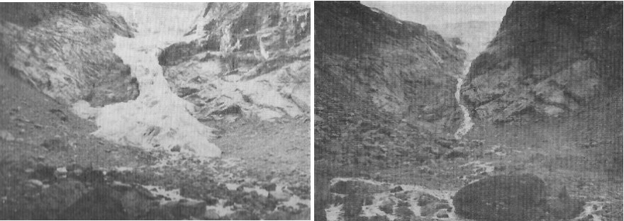 MjoelkevoldsbreenOldenNordfjord1937and1946.jpg